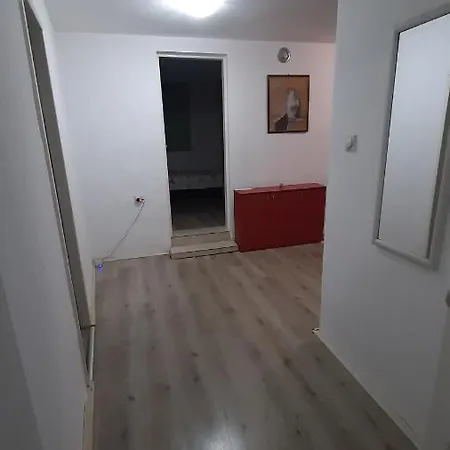 Tattoo R Lux * Negotin