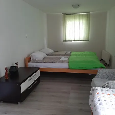 Apartment Apartman Tattoo R Lux *