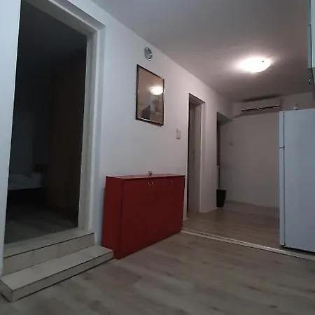 Apartman Tattoo R Lux Negotin