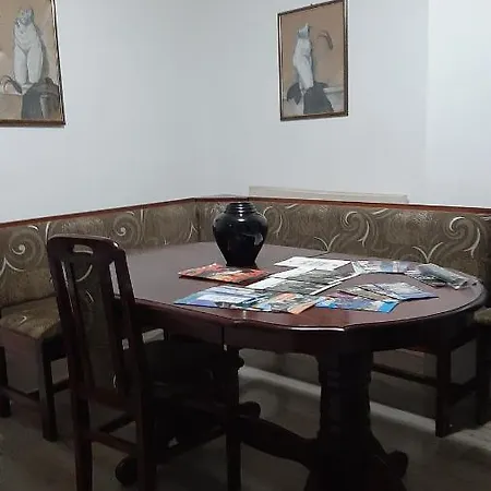 Apartman Tattoo R Lux Negotin