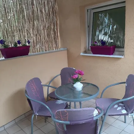 Apartman Tattoo R Lux Apartment Negotin